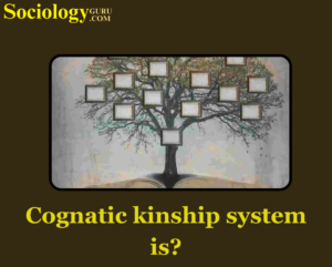 Cognatic kinship system