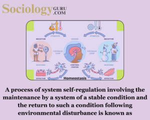 System Self-Regulation