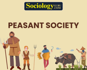 Peasant Society