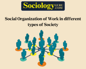 Social Organization of Work in different types of Society